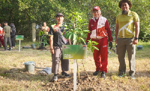 30 Batang Pohon Ditanam di Hutan Kota Tibang