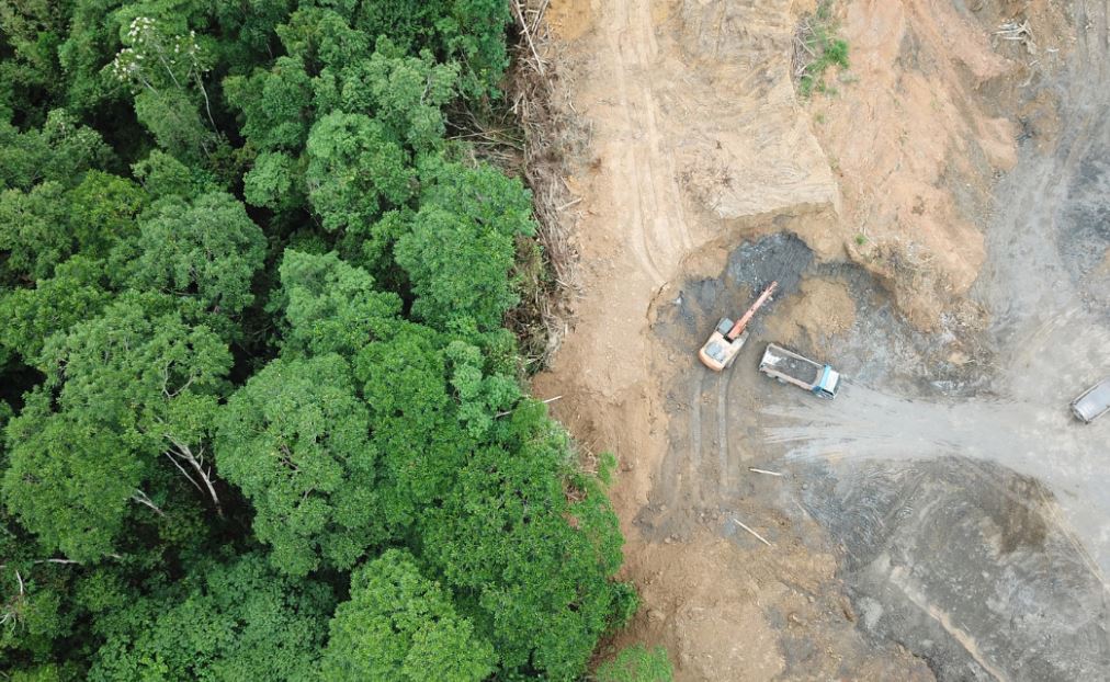 Langkah Berani Brasil: Kredit Pertanian Kini Harus Lolos Verifikasi Deforestasi