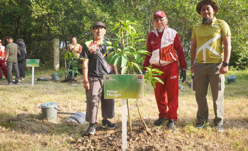 30 Batang Pohon Ditanam di Hutan Kota Tibang
