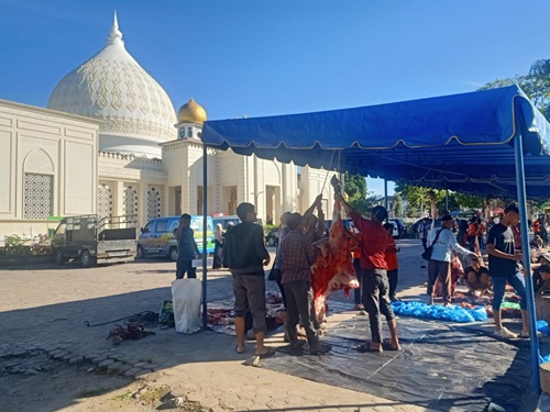 Semarak Kurban di Aceh Tengah, 1.750 Hewan Disembelih