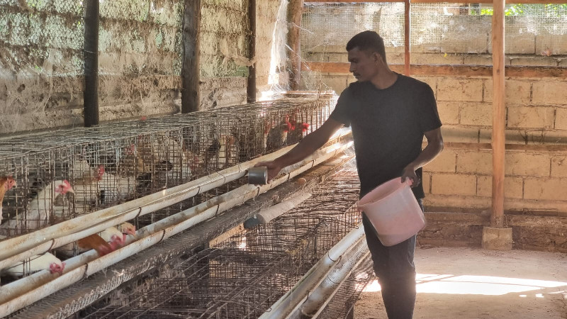 Peternak Ayam Aceh Besar Dukung Investasi, Minta Masalah Pakan Diselesaikan