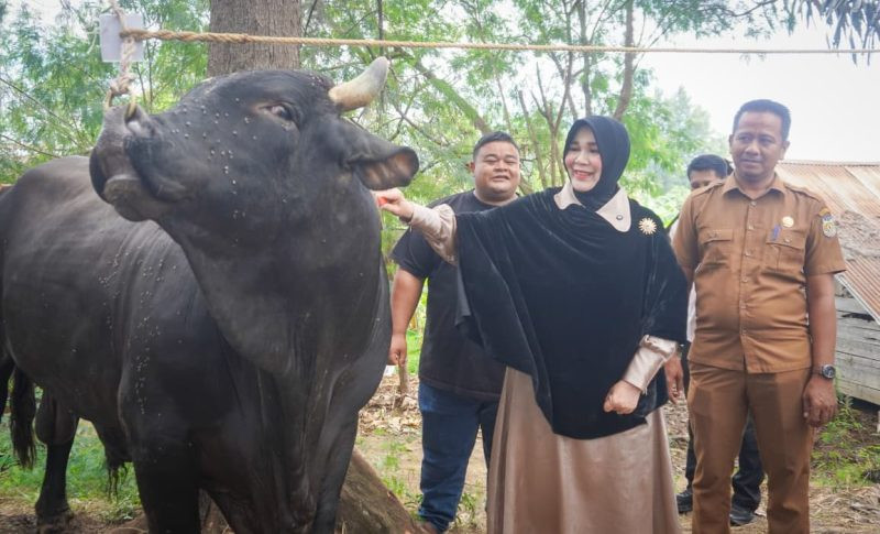 Illiza Pastikan Bantuan Kurban Presiden Bermanfaat untuk Warga