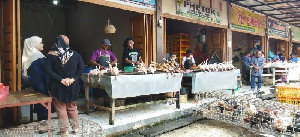 Harga Ayam Ras dan Telur Turun 8%, Pemerintah Kebut Stabilkan Pasar