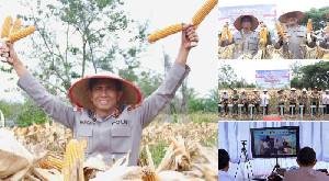 Panen Raya Jagung dan Launching SPPG Polri Warnai Kunker Kapolda Aceh di Singkil