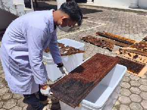 Mahasiswa Magang Ikut Konservasi Koleksi Bersejarah di Museum Aceh