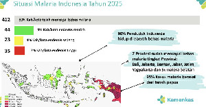 80 Persen Daerah Bebas Malaria, Target Nasional 2030 Makin Terarah