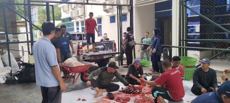 Kemenag Aceh Sembelih Sembilan Kurban, Dua Ekor dari Mitra