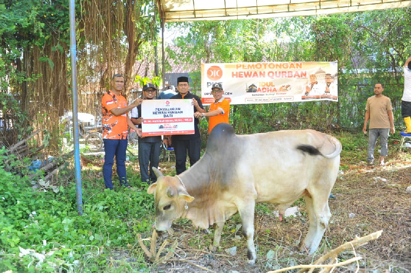 PKS Aceh Sebar 199 Hewan Qurban di Seluruh Aceh pada Iduladha 1447 H