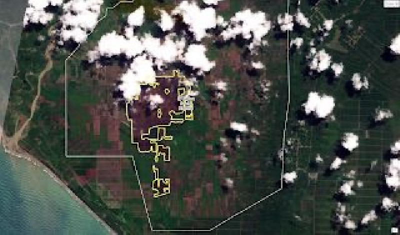 HAkA: 605 Hektar Gambut Rawa Tripa Terbakar dalam Tiga Pekan