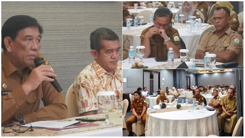 BPKA Dorong Percepatan Digitalisasi Pajak dan Retribusi Daerah