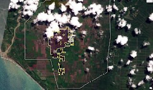 HAkA: 605 Hektar Gambut Rawa Tripa Terbakar dalam Tiga Pekan