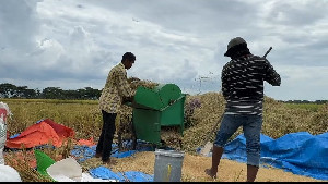 Kurang dari Enam Bulan, BULOG Serap 3 Juta Ton Gabah dan Beras Petani