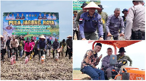 Wakapolda Aceh dan Plt Kadistanbun Tanam Jagung di Pidie, Perkuat Ketahanan Pangan