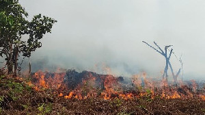 Karhutla Aceh 2023-2026: Api Mengecil, Lahan Terbakar Tetap Mengancam