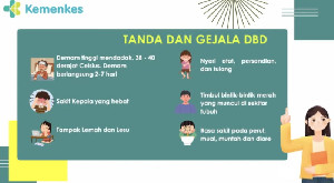 Sering Mengecoh, Kemenkes Ingatkan Bahaya Fase Kritis Demam Berdarah