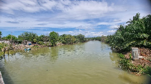 Sering Gagal Panen Akibat Banjir, Petani Aceh Utara Minta Krueng Ujong Pancu Dinormalisasi