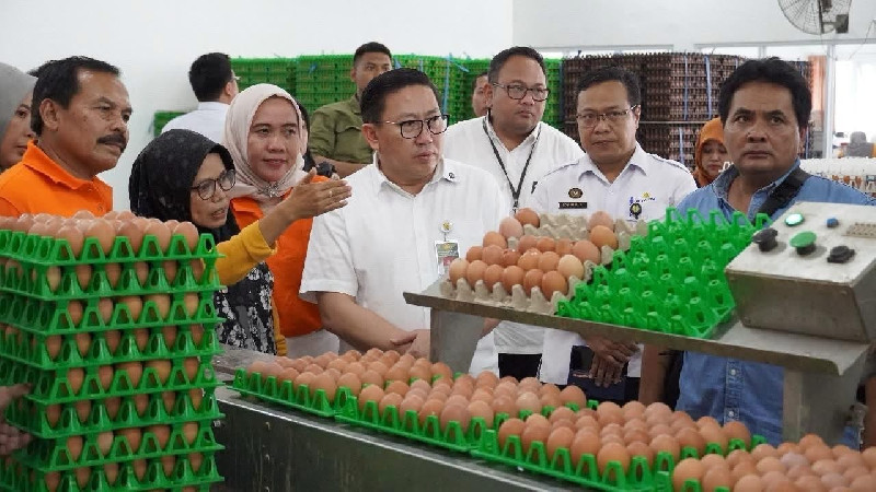 Kelebihan Pasokan Telur, Kementan Genjot Penyerapan Lewat Program MBG dan BUMN