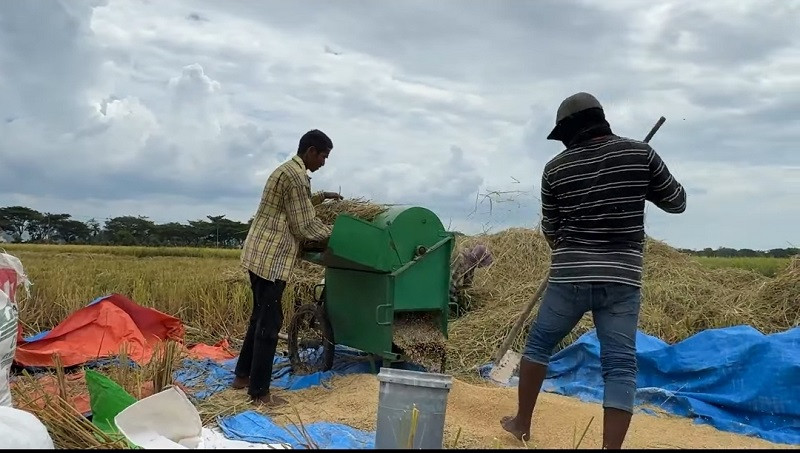 Kurang dari Enam Bulan, BULOG Serap 3 Juta Ton Gabah dan Beras Petani