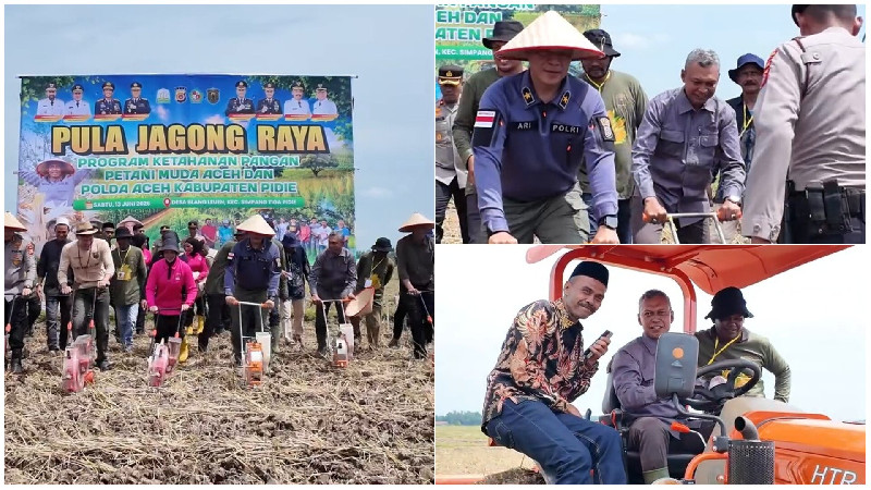 Wakapolda Aceh dan Plt Kadistanbun Tanam Jagung di Pidie, Perkuat Ketahanan Pangan