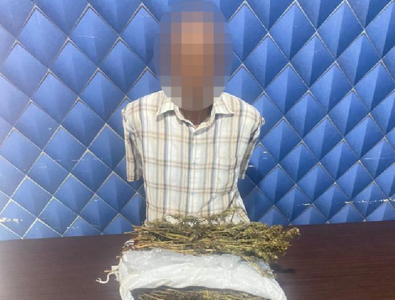 Polres Aceh Barat Sita 1,5 Kilogram Ganja dan Amankan Seorang Tersangka