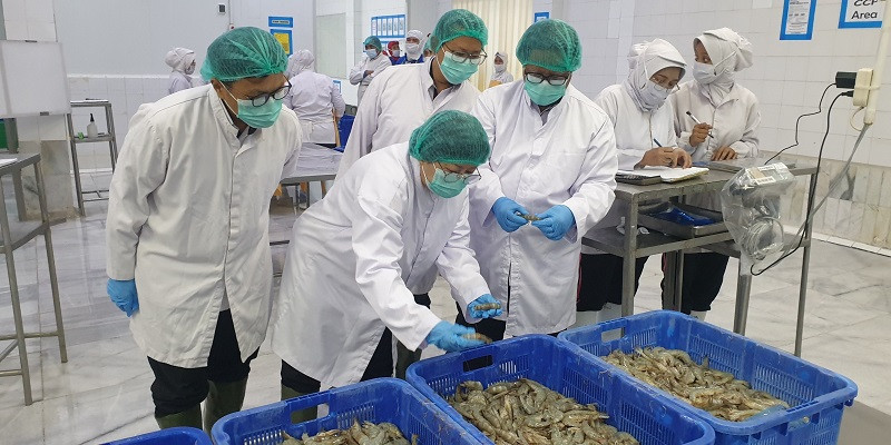 Delapan UPI Baru Dapat Restu Tiongkok, Total Eksportir Ikan Jadi 638 Unit