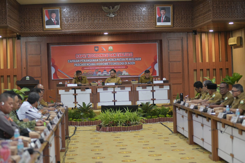 Di Hadapan Mendagri, Mualem Minta Percepatan Pemulihan Sawah dan Infrastruktur