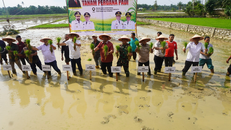 Pemerintah Aceh Pacu Pemulihan Sawah Terdampak Bencana Hidrometeorogi