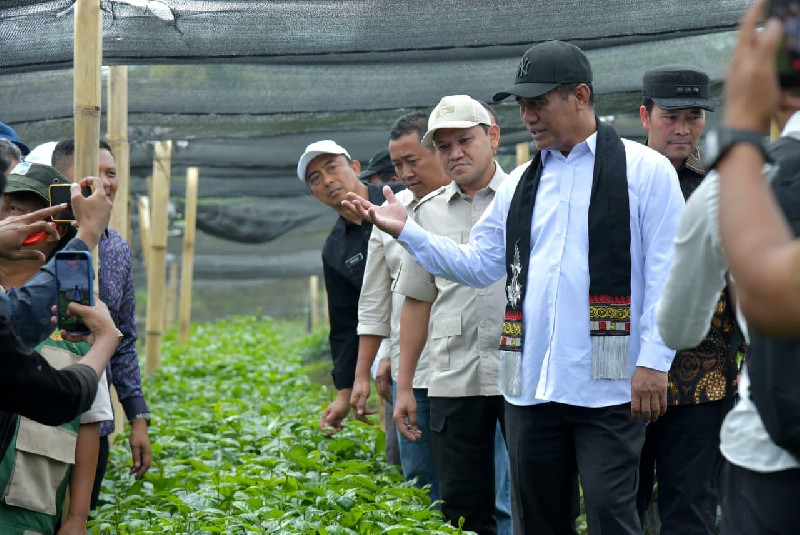 Mentan Janji Perkuat Pengembangan Pertanian dan Kopi Gayo di Aceh