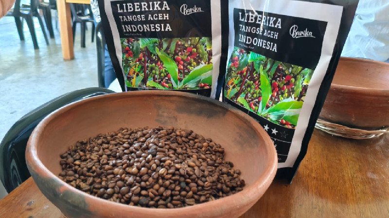 Kopi Liberika Tangse Aceh Layak Mendunia