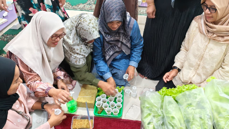 Menyemai Ketahanan Pangan di Tengah Kota Banda Aceh Lewat Hidroponik