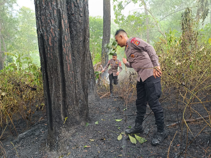 Brimob Polda Aceh Tangani Kebakaran Hutan di Lembah Seulawah