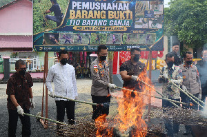 Musnahkan Barang Bukti Ganja, Kapolres Aceh Selatan Tegaskan Komitmen Berantas Narkotika
