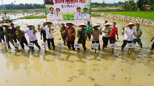 Pemerintah Aceh Pacu Pemulihan Sawah Terdampak Bencana Hidrometeorogi