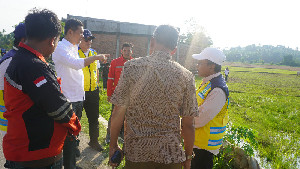 Sekda Aceh Tinjau Rehabilitasi Sawah di Aceh Timur, Dorong Percepatan Pemulihan Sektor Pertanian