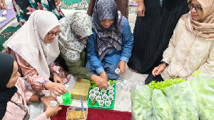 Menyemai Ketahanan Pangan di Tengah Kota Banda Aceh Lewat Hidroponik