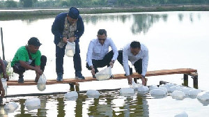 15.000 Hektare Tambak Aceh Ditargetkan Pulih, Petambak Dapat Benih dan Pakan Gratis