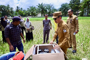 Sawah Mengering, Tarmizi Kejar Penyelesaian Irigasi Lhok Guci