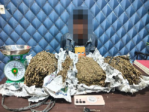 Polisi Tangkap DPO Kasus Narkoba di Aceh Barat, 3,1 Kg Ganja Disita