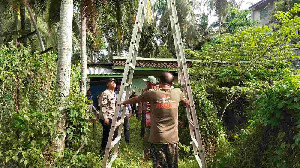 Jatuh Dari Pohon Kelapa, Warga Aceh Besar Meninggal Dunia