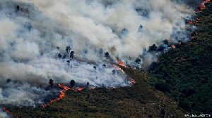Kebakaran Hutan Mengganas di Prancis dan Spanyol, Puluhan Ribu Orang Dievakuasi