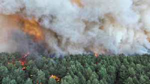Kebakaran Hutan Fontainebleau Dekat Paris Picu Evakuasi di Tengah Gelombang Panas Eropa