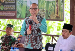 Kementerian UMKM Dorong Petani Berkelompok, Ada KUR Rp100 Juta Tanpa Agunan.