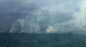 17 Kebakaran Hutan Landa Minnesota, 33.000 Hektare Hangus dan Evakuasi Massal Dilakukan