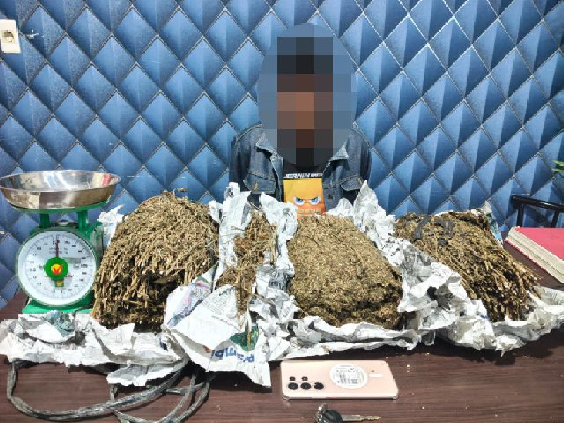 Polisi Tangkap DPO Kasus Narkoba di Aceh Barat, 3,1 Kg Ganja Disita