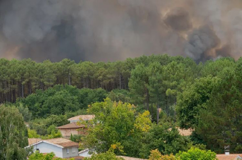 Api Lahap 3.400 Hektare Hutan di Prancis, 20.000 Warga dan Wisatawan Mengungsi