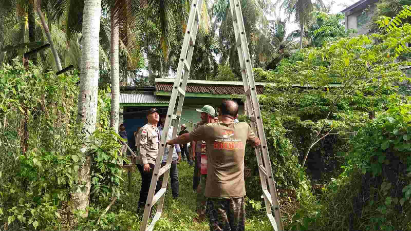 Jatuh Dari Pohon Kelapa, Warga Aceh Besar Meninggal Dunia