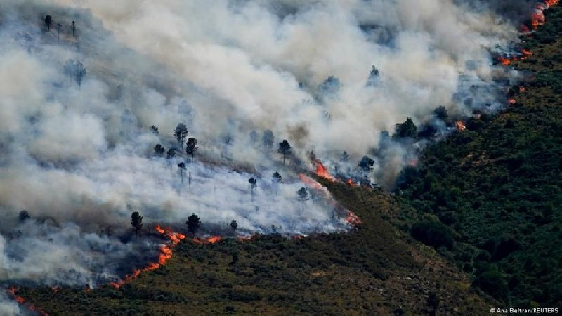 Kebakaran Hutan Mengganas di Prancis dan Spanyol, Puluhan Ribu Orang Dievakuasi