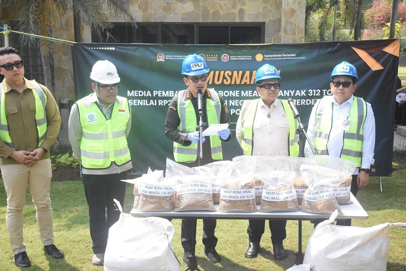 DNA Porcine Terdeteksi, 312 Ton Bahan Baku Pakan Asal Brasil Dimusnahkan