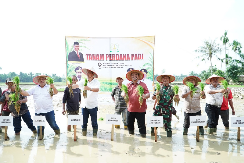 Tanam Perdana Padi di Aceh Tamiang, Sekda Aceh: Ini Simbol Petani Bangkit Pasca Bencana
