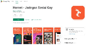 Komdigi Tindak Hornet, Minta Dihapus dari App Store dan Play Store